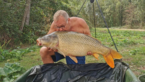 A carp from Lepinet North, howard, Sep 2020