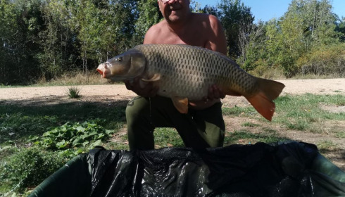 A carp from Lepinet North, howard, Aug 2020