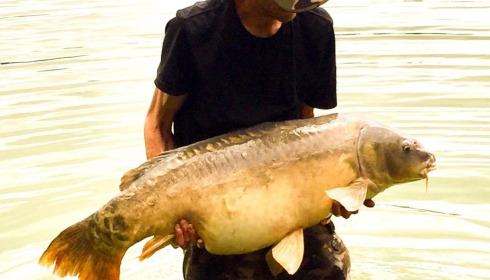 A 52 lb carp from Lepinet North, tony freeman, Jul 2020