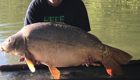 A 52 lb carp from Lepinet North, heaton, Aug 2020