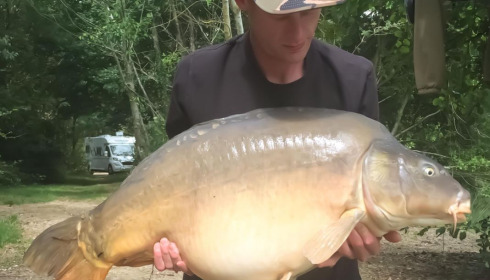 A carp from Lepinet North, tony freeman, Jul 2020