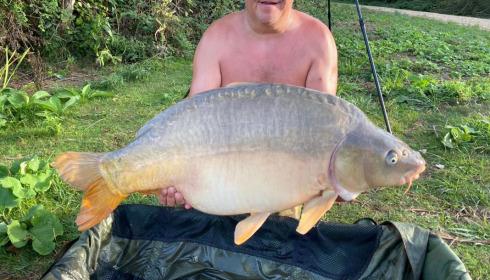 A carp from Lepinet North, howard, Aug 2020