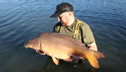 A fish from Lepinet North, various fish, Sep 2020