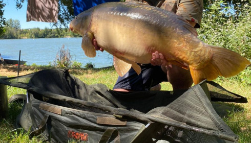 A 37 lb carp from Lepinet South, Jul 2020