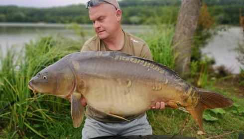 A carp from Lepinet South, shaine van dyk, Jul 2020
