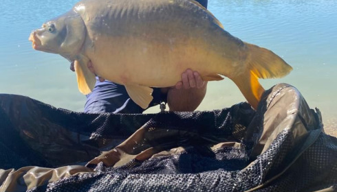 A 25 lb carp from Lepinet South, Glen Warwick, Jul 2020