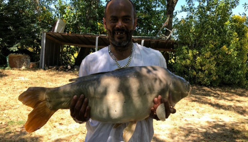 A 29 lb carp from Lillybelle, Rastaman, Jul 2020