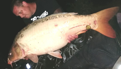A 37 lb carp from Lillybelle, Kevin Barber, Aug 2020