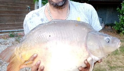A 28 lb carp from Lillybelle, Rastaman, Jul 2020