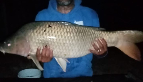 A 28 lb carp from Lillybelle, Rastaman, Jul 2020