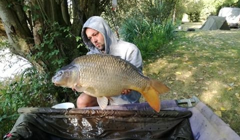 A carp from Lillypool, Jason Polley, Jul 2020