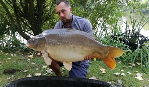 A 40 lb carp from Lillypool, Jason Polley, Jul 2020