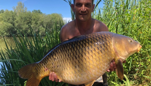 A 36 lb carp from Lillypool, Phil Milner, Jul 2020