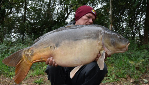 A carp from Old Oaks, Daniel Ball, Sep 2020