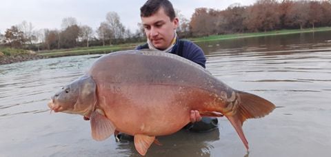 A carp from Ragon, Dec 2020