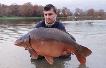 A carp from Ragon, Dec 2020