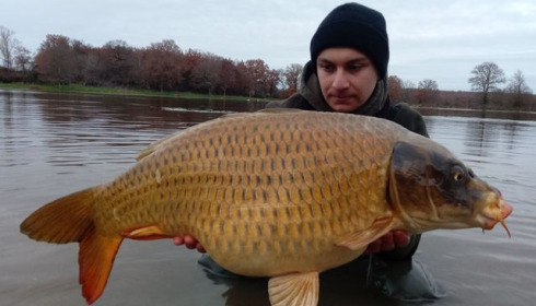 A carp from Ragon, Dec 2020