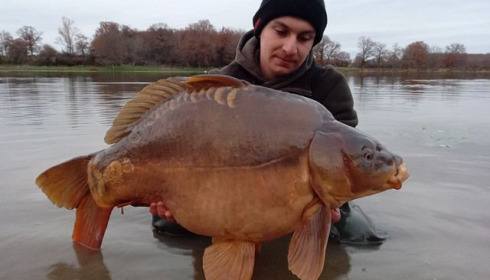 A carp from Ragon, Dec 2020