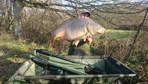 A carp from Ragon, ., Oct 2020