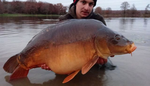 A carp from Ragon, Dec 2020