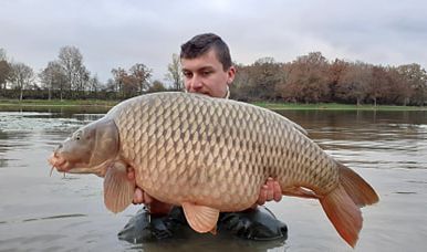 A carp from Ragon, Dec 2020