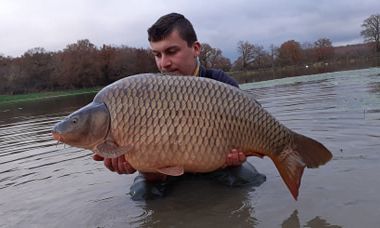 A carp from Ragon, Dec 2020