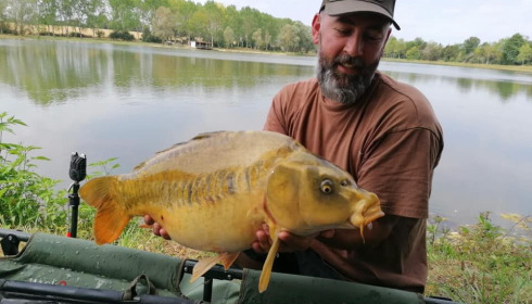 A carp from Ragon, ., Oct 2020