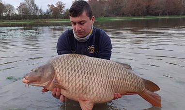 A carp from Ragon, Dec 2020