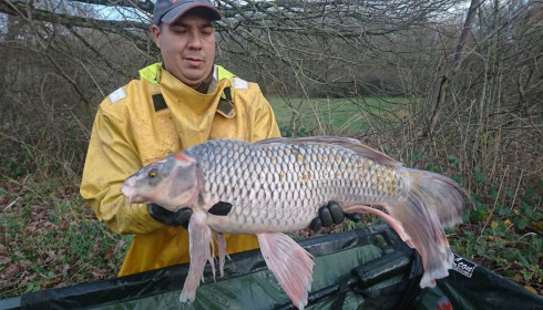 A carp from Ragon, ., Oct 2020