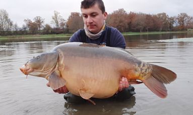 A carp from Ragon, Dec 2020