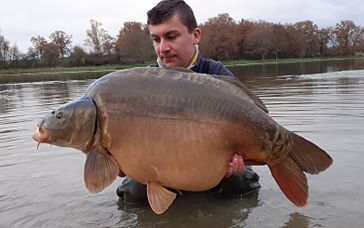 A carp from Ragon, Dec 2020