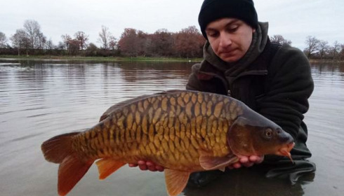 A carp from Ragon, Dec 2020