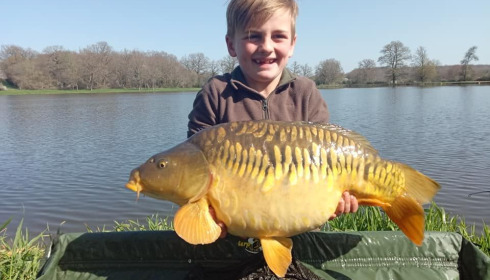 A carp from Ragon, ., Oct 2020