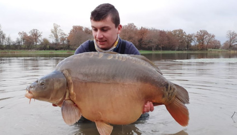 A carp from Ragon, Dec 2020