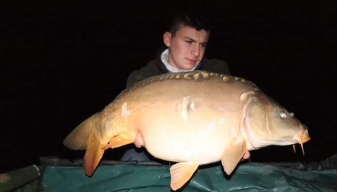 A carp from Ragon, ., Oct 2020