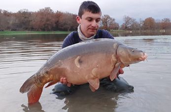 A carp from Ragon, Dec 2020