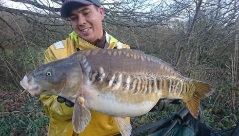 A carp from Ragon, ., Oct 2020