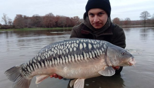 A carp from Ragon, Dec 2020