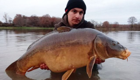 A carp from Ragon, Dec 2020