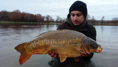 A carp from Ragon, Dec 2020