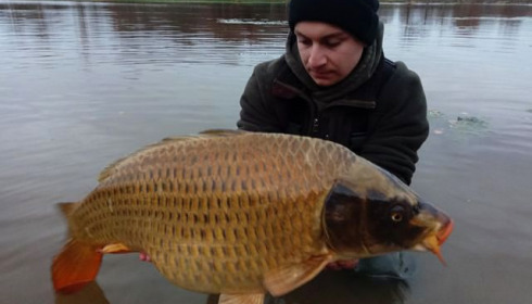 A carp from Ragon, Dec 2020