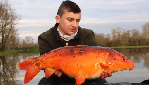 A carp from Ragon, ., Oct 2020