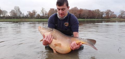 A carp from Ragon, Dec 2020