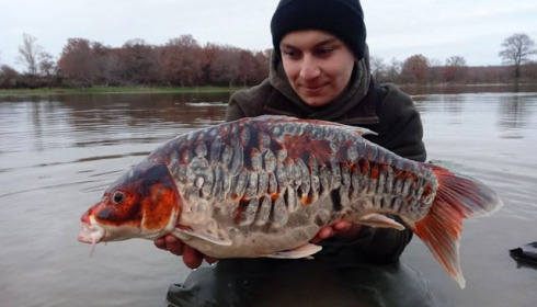 A carp from Ragon, Dec 2020