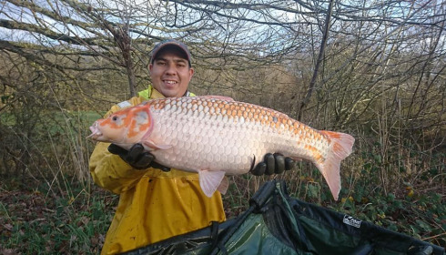 A carp from Ragon, ., Jan 2020