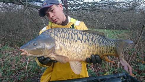 A carp from Ragon, ., Oct 2020