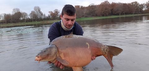A carp from Ragon, Dec 2020