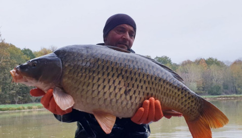 A carp from Renarde, Dec 2020