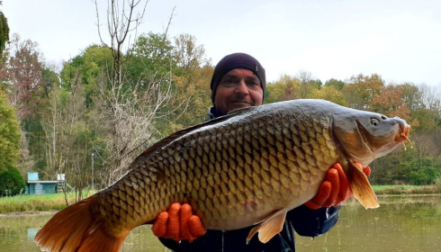 A carp from Renarde, Dec 2020