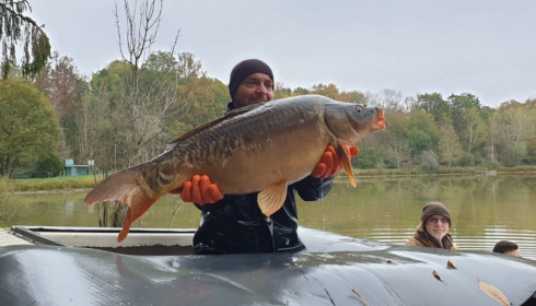 A carp from Renarde, Dec 2020